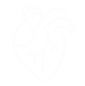 凯时AG（中文）